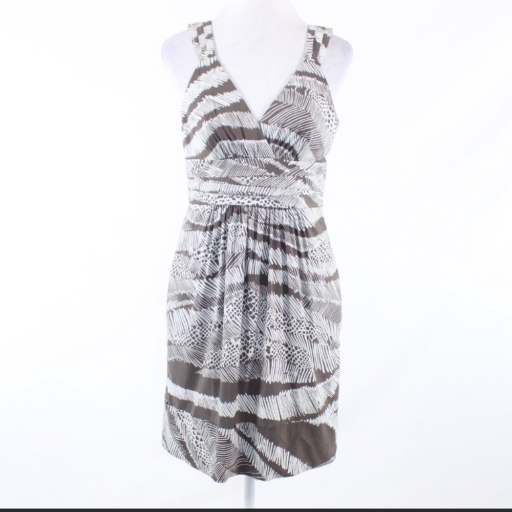 BCBG MaxAzaria sleeveless day dress